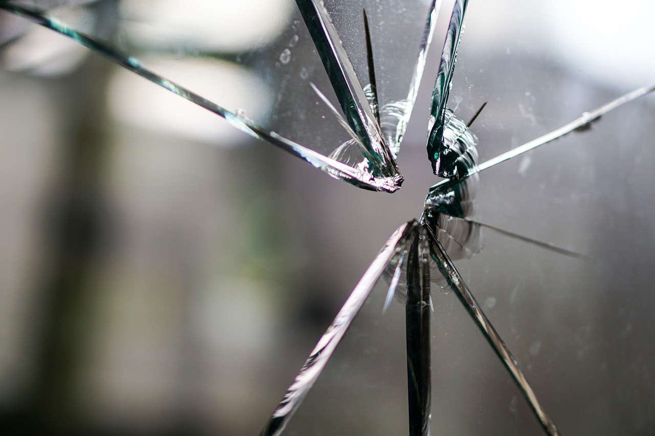 Schaden Tiersitter Haftpflicht Haftung
