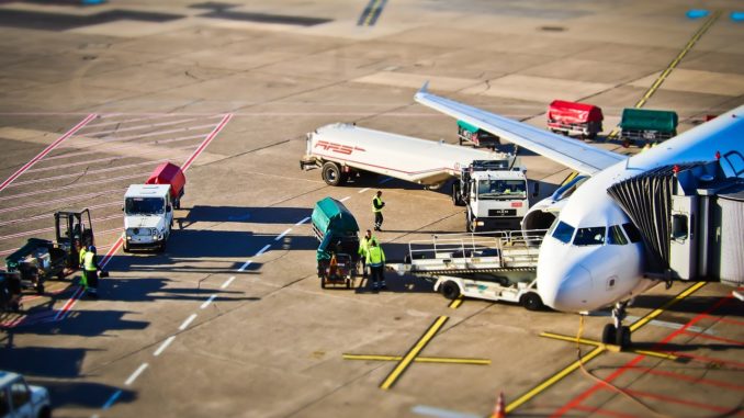 Fliegen mit Hund - wichtige Informationen für die Flugreise mit Hund