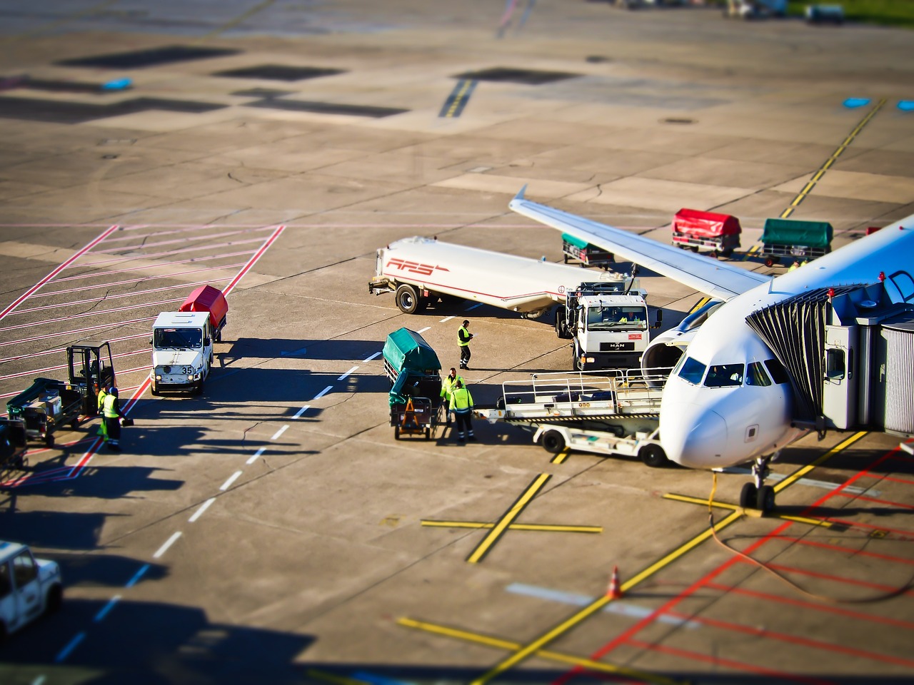 Fliegen mit Hund - wichtige Informationen für die Flugreise mit Hund