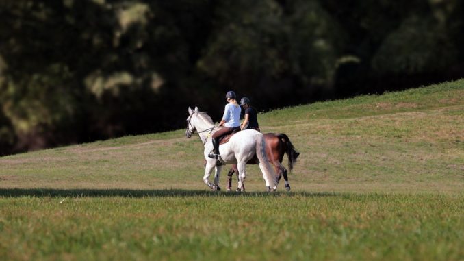 Hobby Reiten Kosten