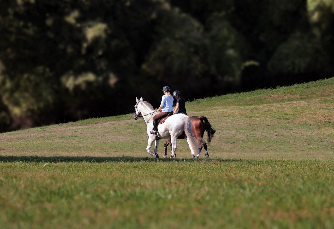 Hobby Reiten Kosten