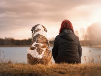 Tierbedarf auch Online kaufen: Ist das sinnvoll?