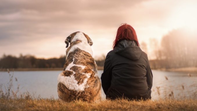 Tierbedarf auch Online kaufen: Ist das sinnvoll? Tierbedarf auch Online kaufen: Ist das sinnvoll?