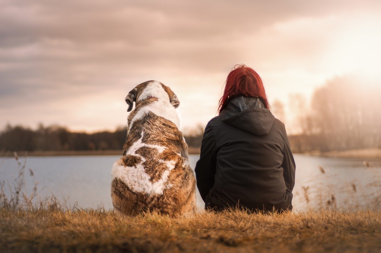 Tierbedarf auch Online kaufen: Ist das sinnvoll?