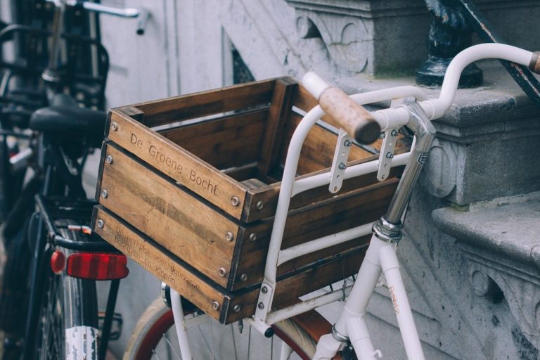 hund an fahrrad gewöhnen