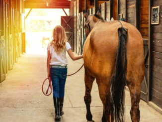 Ratgeber: Reitausrüstung für Kinder - das gehört dazu