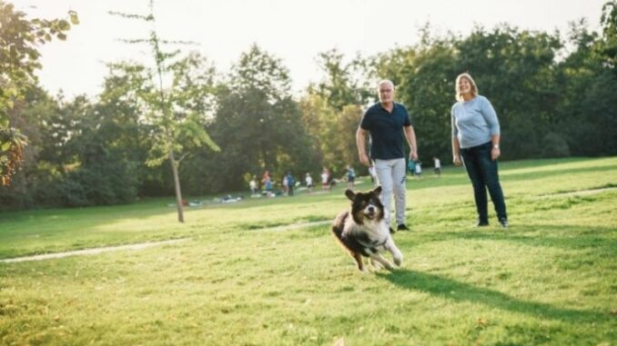 Tierbegleitete Therapie in der Oberberg Fachklinik Rhein-Jura: Mit dem treuen Freund an der Seite