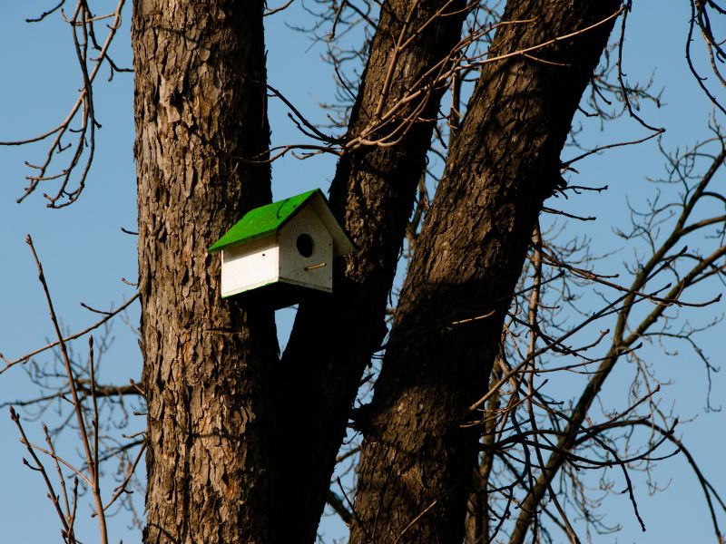Vogelhaus für den Winter - das sollte man beachten beim Vogelfutterhaus