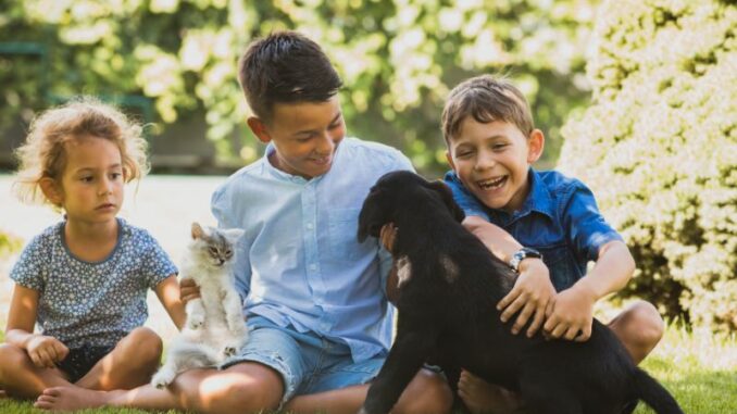 Kinder und Haustiere: Tipps für Eltern und Familien