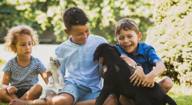 Kinder und Haustiere: Tipps für Eltern und Familien
