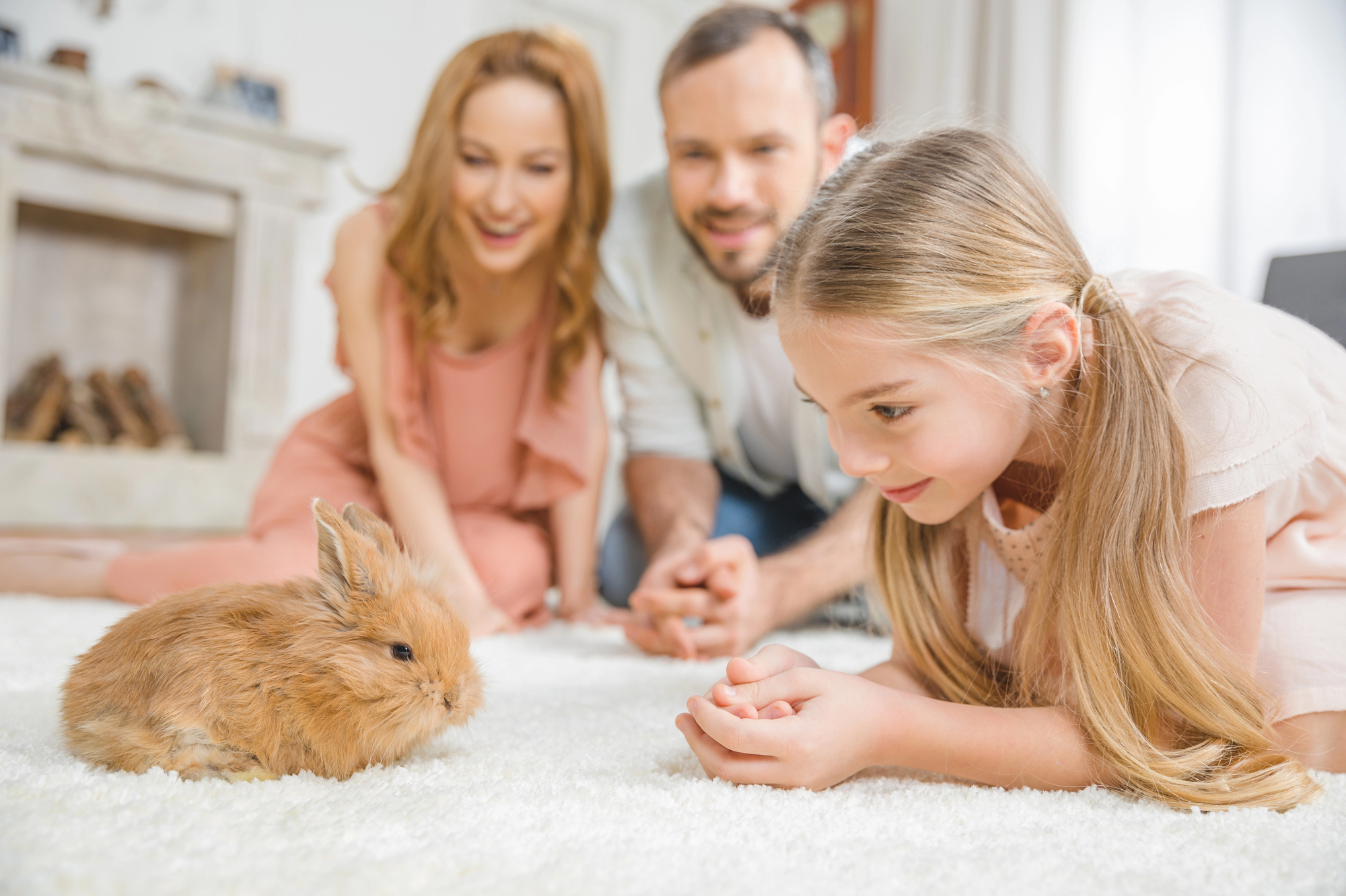 „Kaninchenversicherung“ : Wie funktioniert eine Versicherung für Kaninchen?