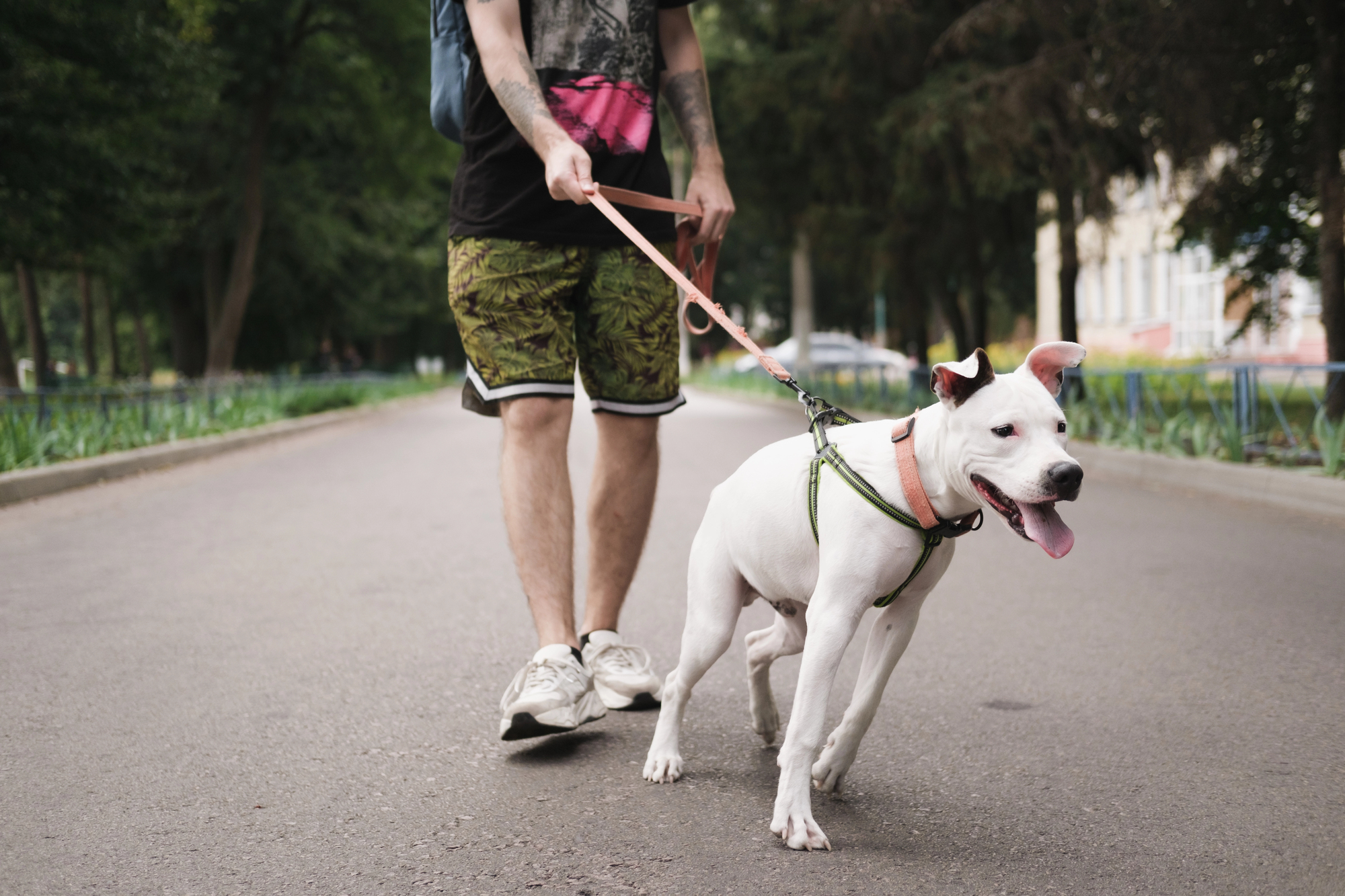 Dogsharing – Wenn Teilen das neue Haben ist